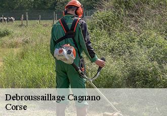 Debroussaillage  cagnano-20228 Corse