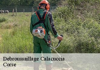 Debroussaillage  calacuccia-20224 Corse