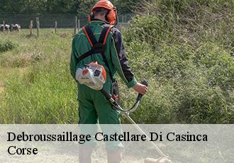 Debroussaillage  castellare-di-casinca-20213 Corse