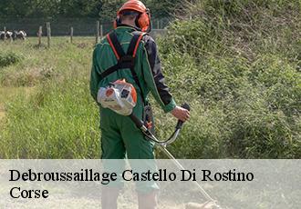 Debroussaillage  castello-di-rostino-20235 Corse