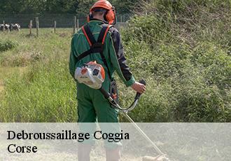 Debroussaillage  coggia-20160 Corse