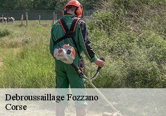 Debroussaillage  fozzano-20143 Corse