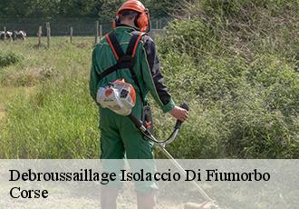 Debroussaillage  isolaccio-di-fiumorbo-20243 Corse