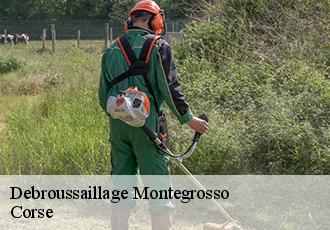 Debroussaillage  montegrosso-20214 Corse