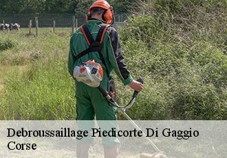 Debroussaillage  piedicorte-di-gaggio-20251 Corse