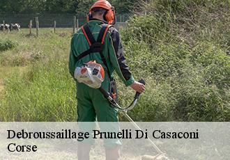 Debroussaillage  prunelli-di-casaconi-20290 Corse