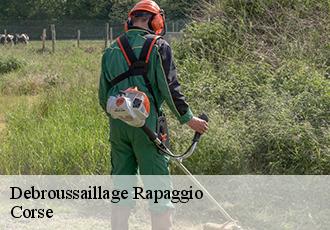 Debroussaillage  rapaggio-20229 Corse