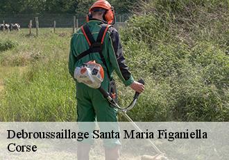 Debroussaillage  santa-maria-figaniella-20143 Corse